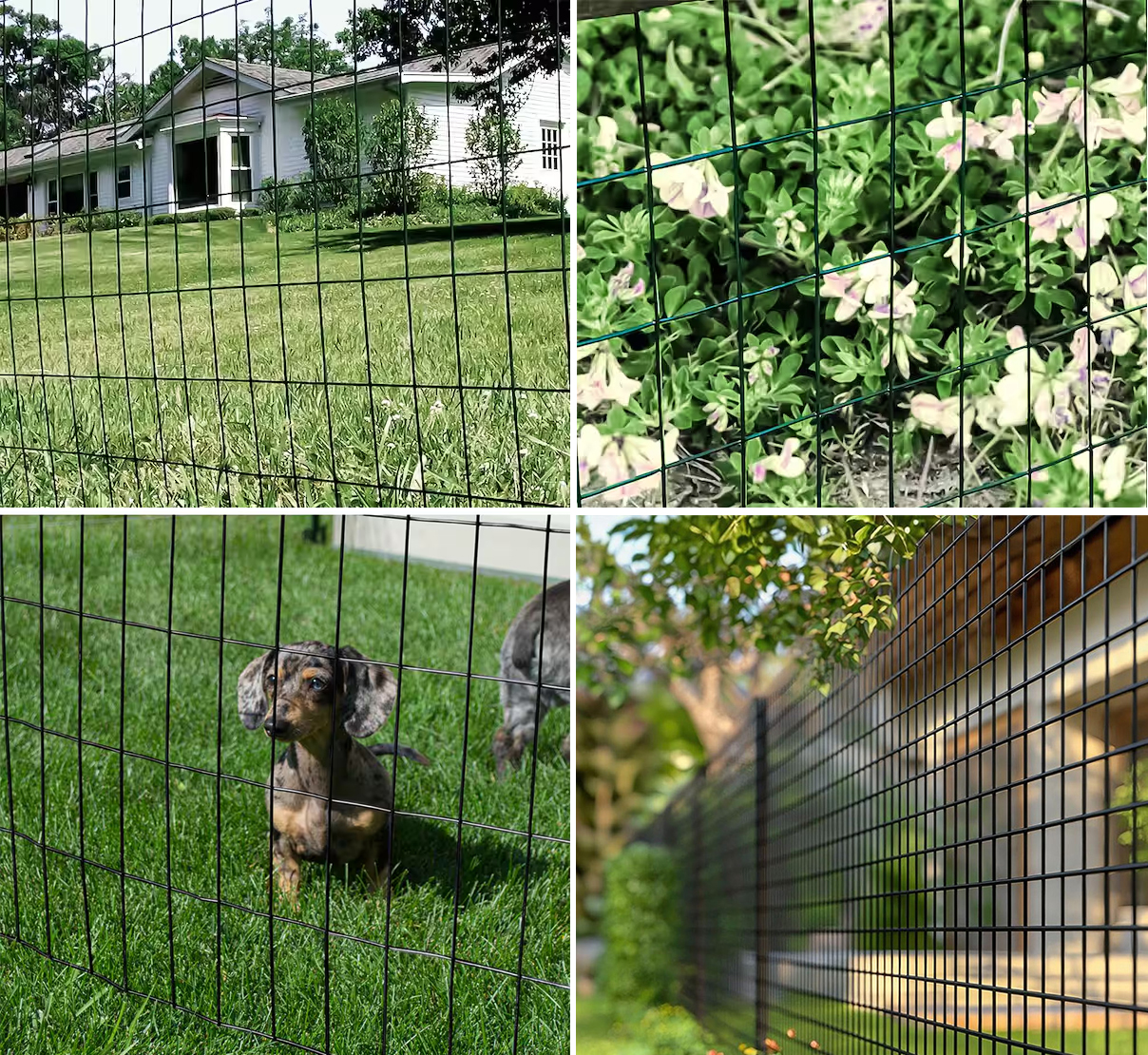 Welded Wire Mesh Roll