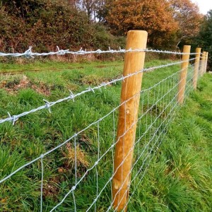 Barbed Wire