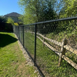 Galvanized Chain Link Fence
